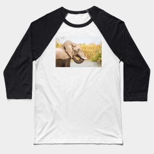 African Bush Elephant Feeding In River Baseball T-Shirt